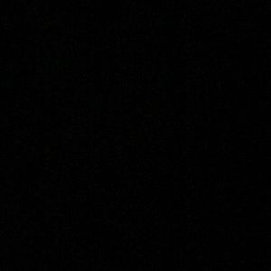 Meet your Posher, Genesis